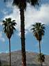 Palm Springs 029.JPG